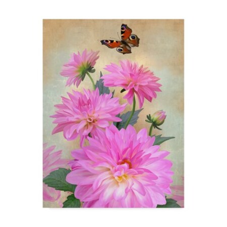 Trademark Fine Art Howard Robinson 'Butterflies And Flowers' Canvas Art, 24x32 ALI24113-C2432GG